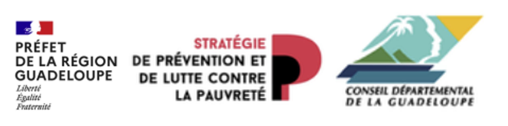 Préfecture de Région Conseil départemental/  Stratégie de prévention de la Pauvreté