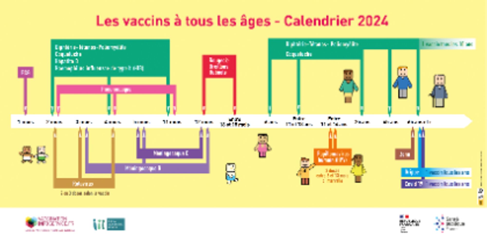 Affiche « Les vaccins à tous les âges : calendrier 2024 » (version accessible)
