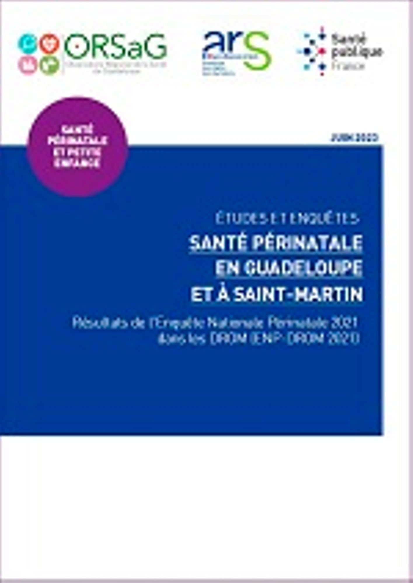 Résultats de l'enquête nationale périnatale 2021 dans les DROM (ENP-DROM) - 2023