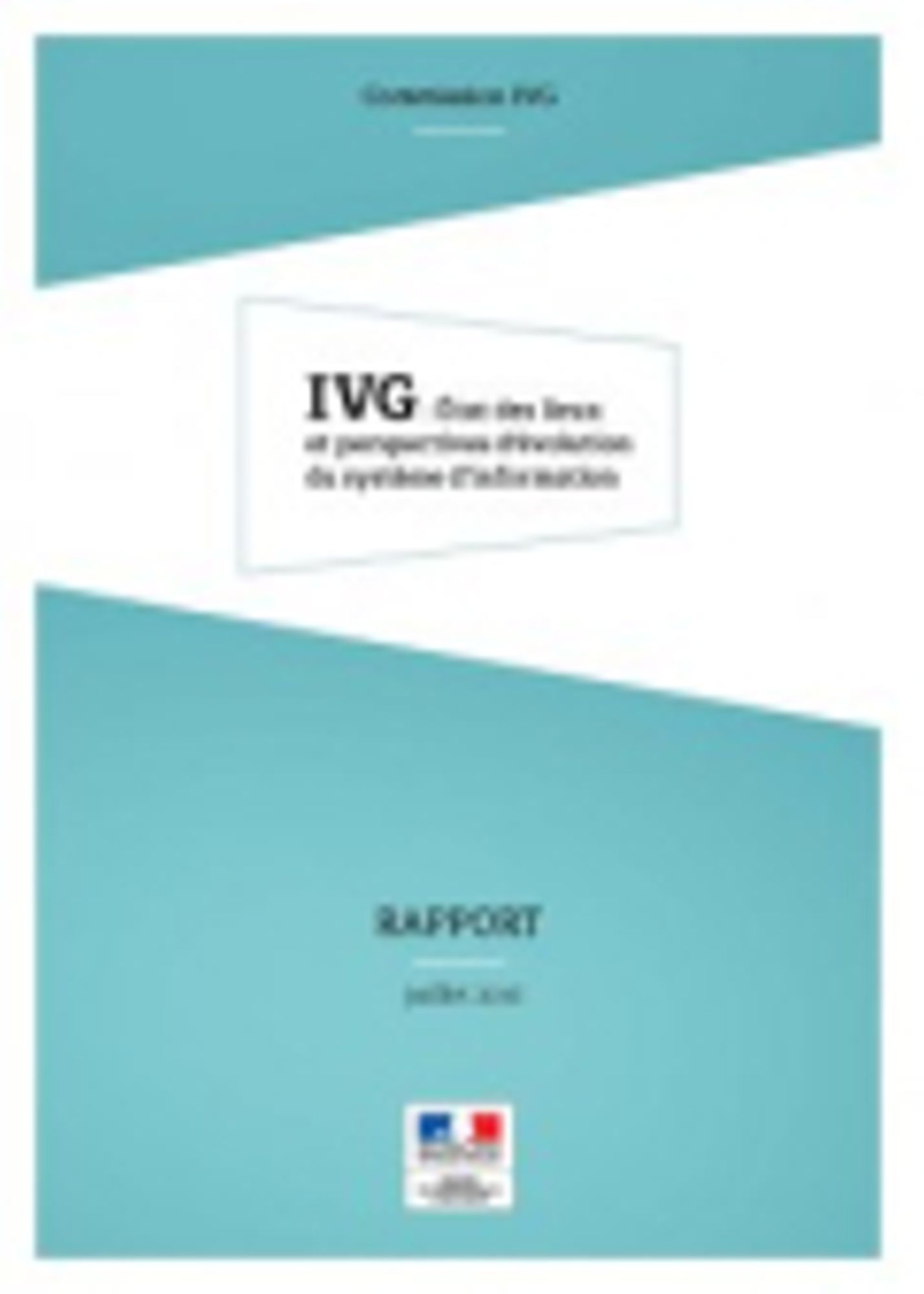 IVG état des lieux et perspectives d'évolution du système d'information