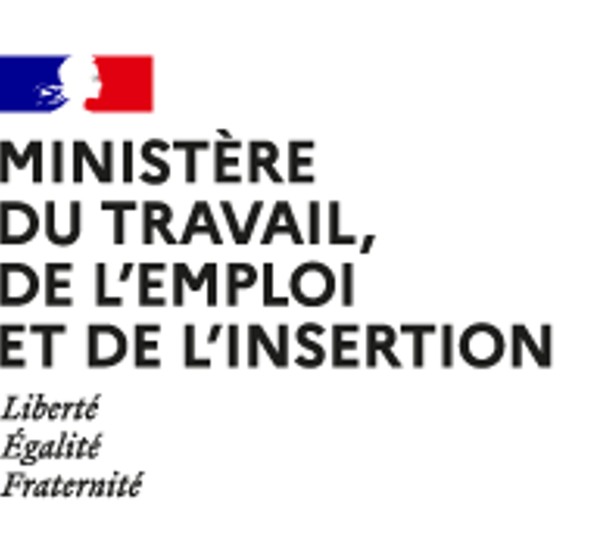 Ministère du Travail, du plein emploi et de l'insertion